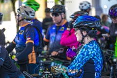 IMG_4382
