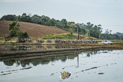 IMG_0754