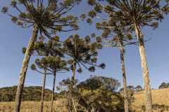 MG_1219_Easy-Resize.com_