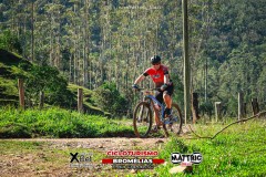Pedal-das-bromelias-1108