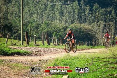 Pedal-das-bromelias-1135