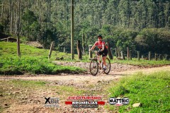 Pedal-das-bromelias-1137