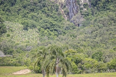 MG_0114