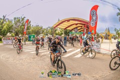 IMG_00940