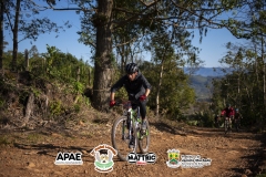 Pedal-Laranja-62