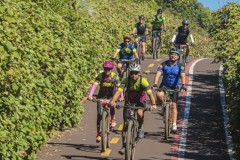 LUAN-TORRES-BEACH-BIKE-8013