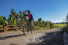 ODILTBB-1346