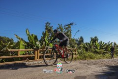 ODILTBB-1383