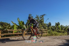 ODILTBB-1384