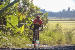 ODILTBB-331