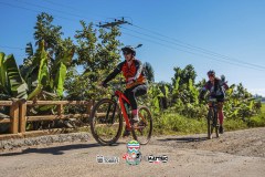 ODILTBB-3368