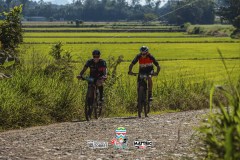 ODILTBB-3479