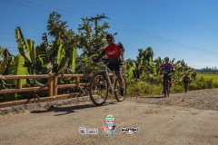 ODILTBB-3626