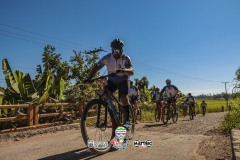 ODILTBB-3683