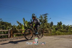 ODILTBB-3882