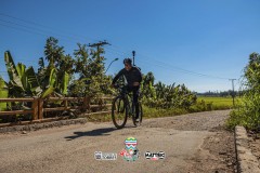 ODILTBB-3932