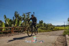 ODILTBB-3933