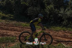ODILTBB-3955