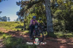 ODILTBB-3988