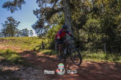 ODILTBB-4335