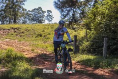 ODILTBB-4384