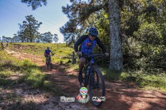 ODILTBB-4396
