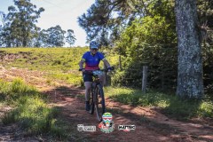 ODILTBB-4398