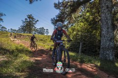 ODILTBB-4479