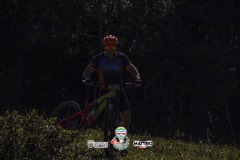 ODILTBB-4650