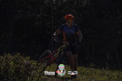 ODILTBB-4651