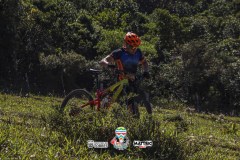 ODILTBB-4652