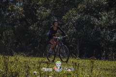 ODILTBB-4670