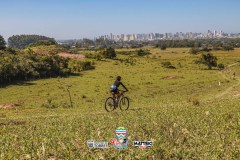 ODILTBB-4678