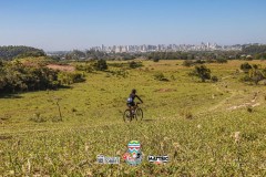 ODILTBB-4679