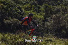 ODILTBB-4684