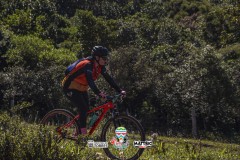 ODILTBB-4685