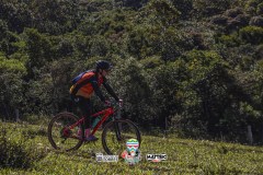 ODILTBB-4686