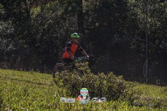 ODILTBB-4804