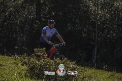 ODILTBB-4817