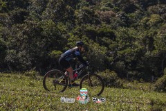 ODILTBB-4833