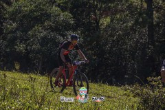 ODILTBB-4842