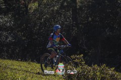 ODILTBB-4904