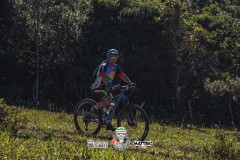 ODILTBB-4905