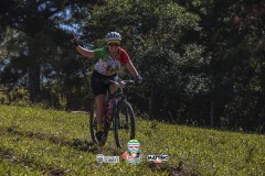 ODILTBB-4932