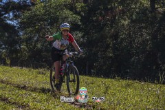 ODILTBB-4933