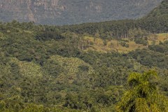 IMG_4105