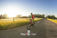 IMG_41611