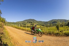IMG_4453