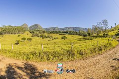 IMG_4493