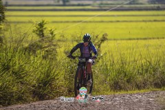 ODILTBB-10037